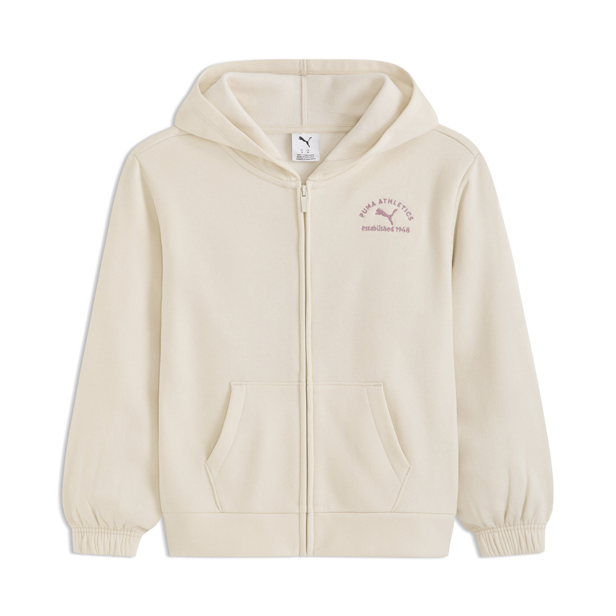 Puma Class Pack Little Kids' Fleece Hoodie In Neutral