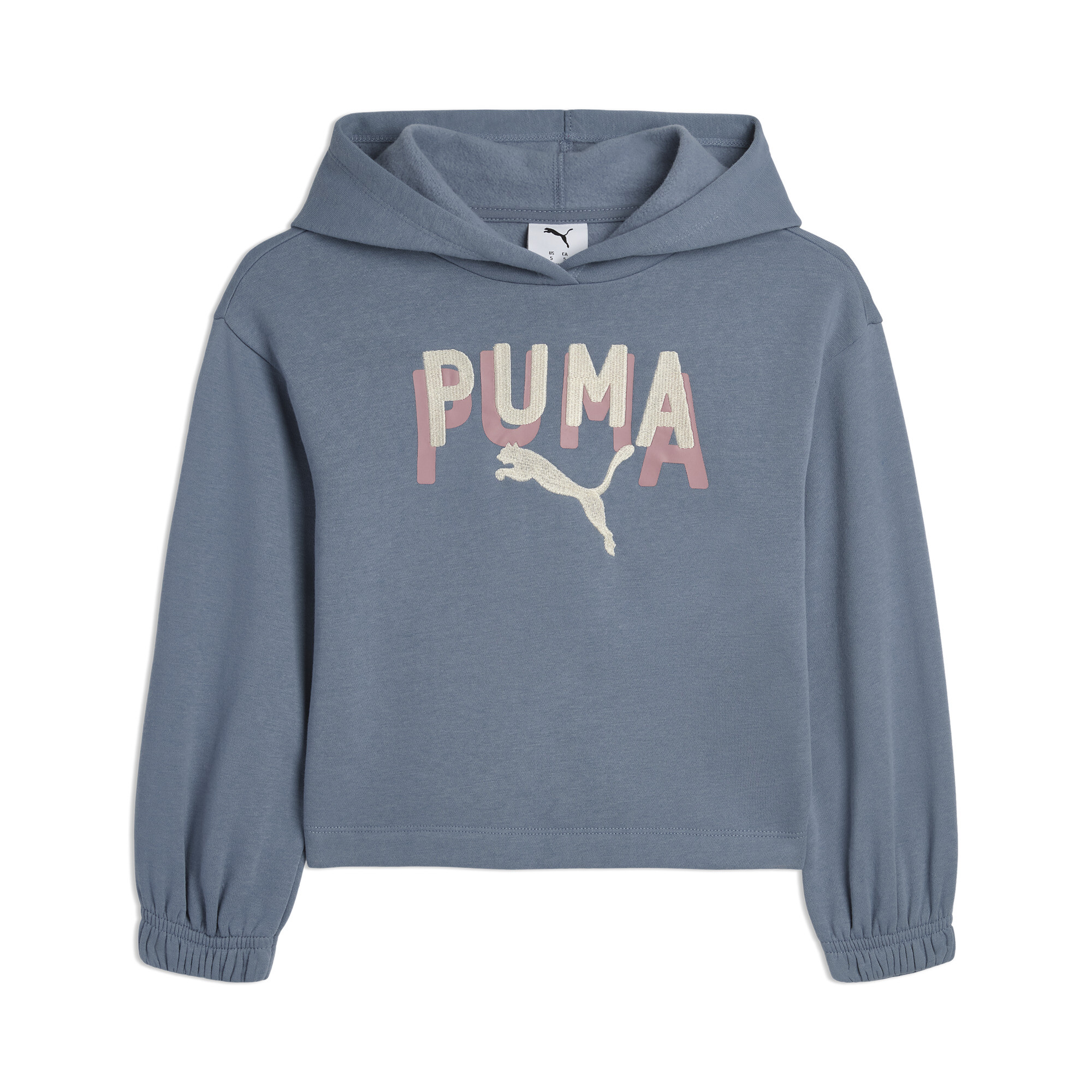 Puma Class Pack Little Kids' Fleece Hoodie In Blue