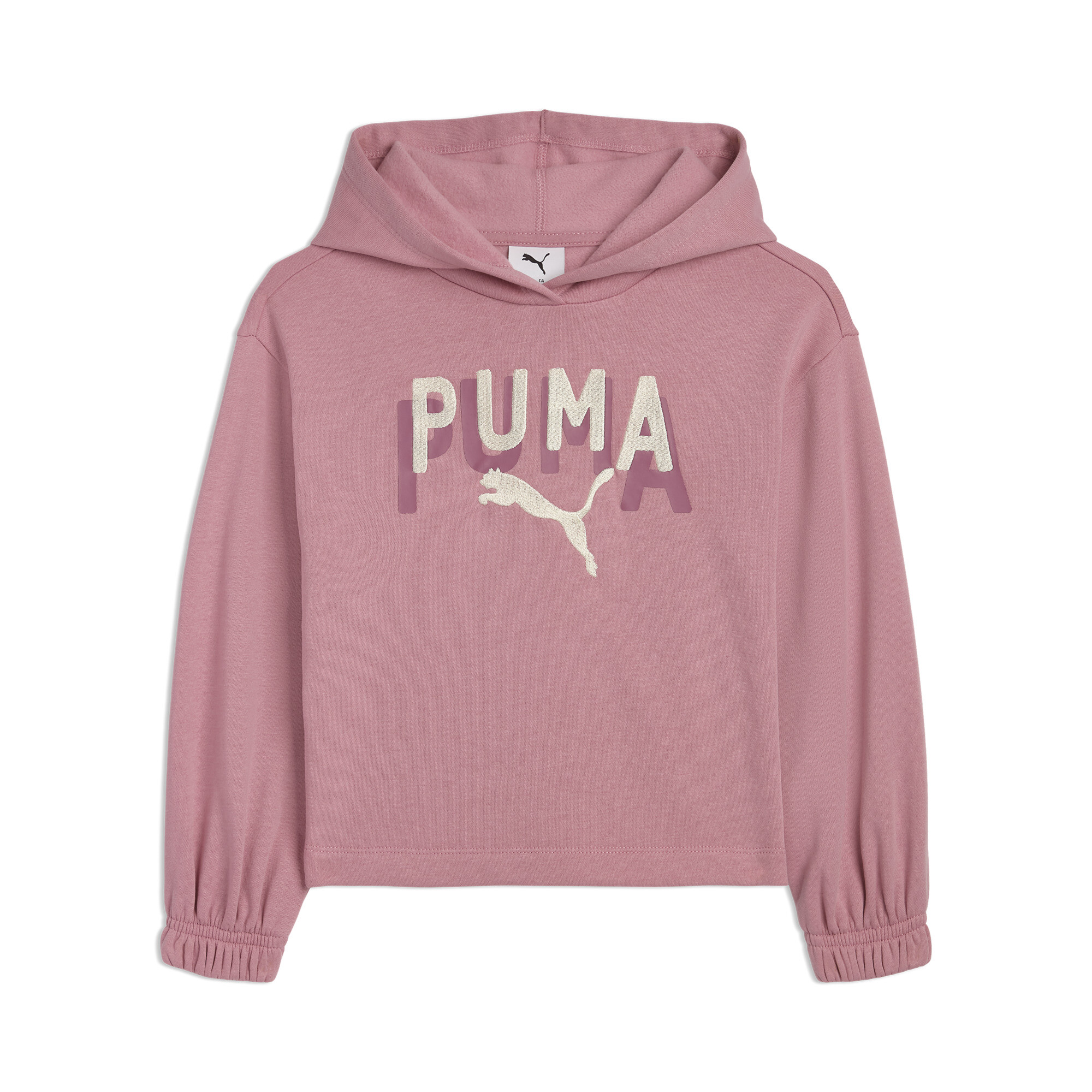 Puma Class Pack Little Kids' Fleece Hoodie In Pink