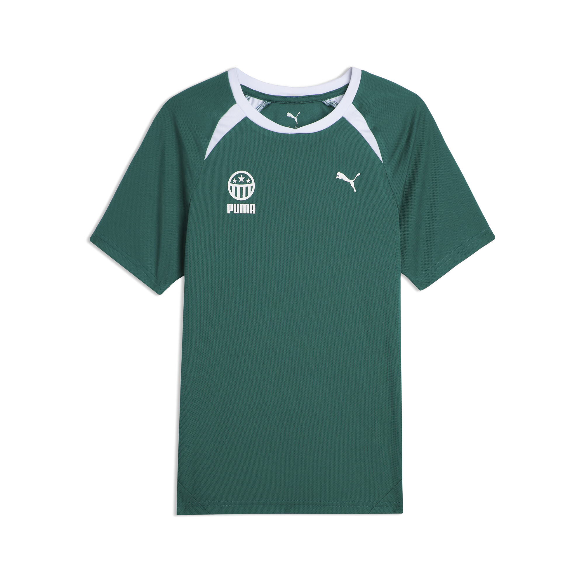 Puma House Of Graphics Little Kids' Graphic T-shirt In Green