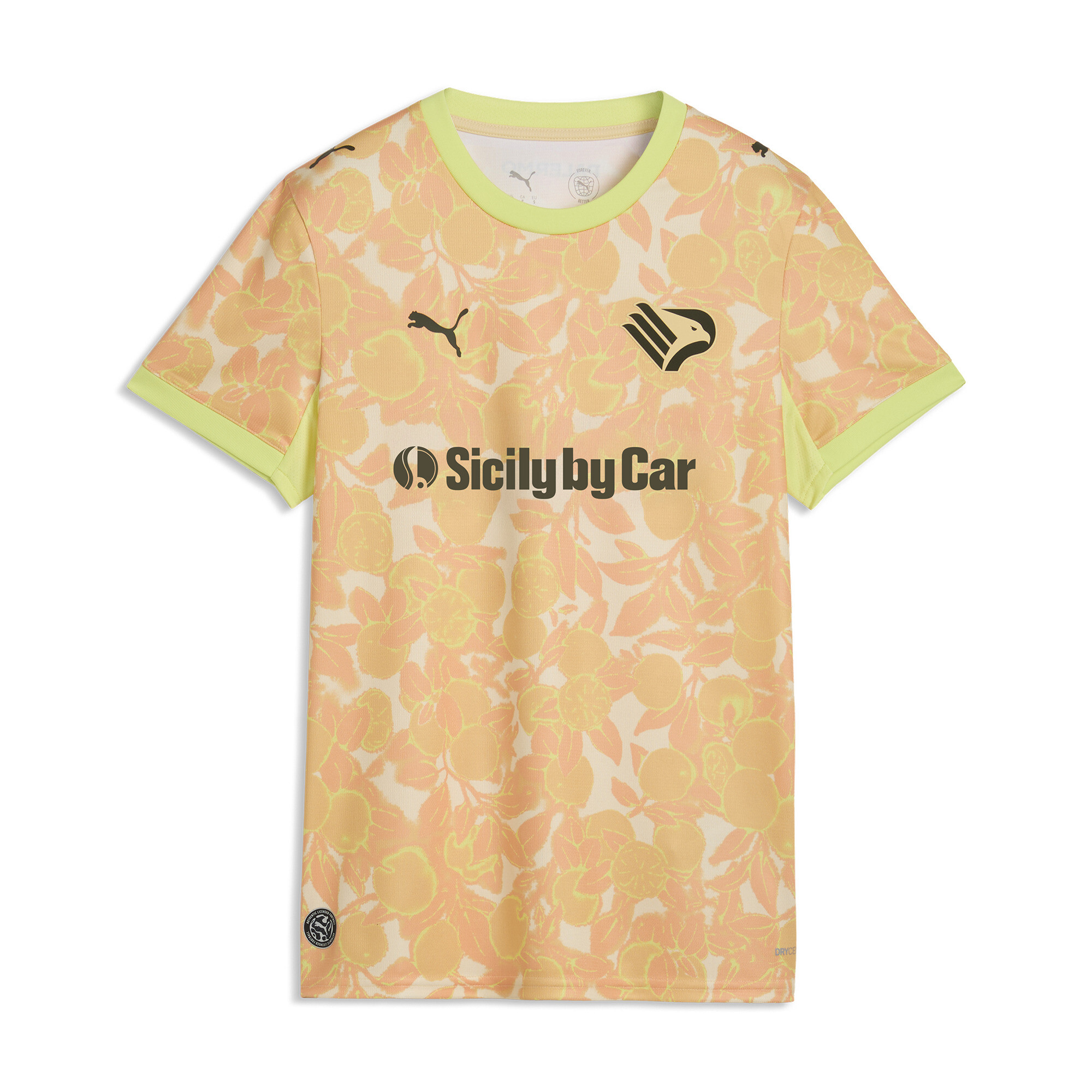 PUMA Maillot Away 2627 Parma Calcio Homme Accessoires Beige S 100$