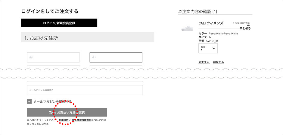 注文情報を入力し、お支払い方法選択のページへ進んでください。