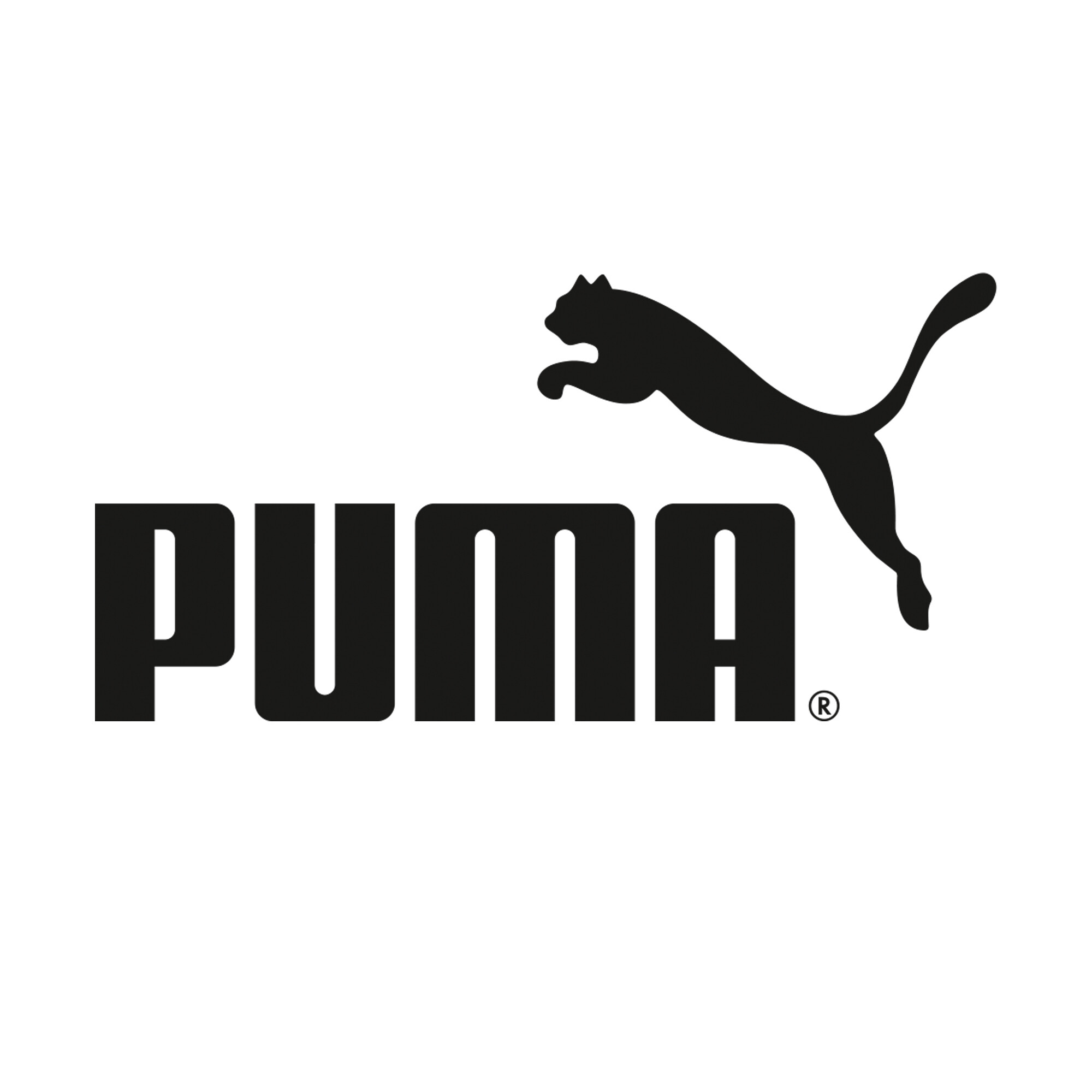 sfat Inspecta în numele puma new logo În mila lui Măduvă trecut