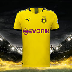 bvb training kit